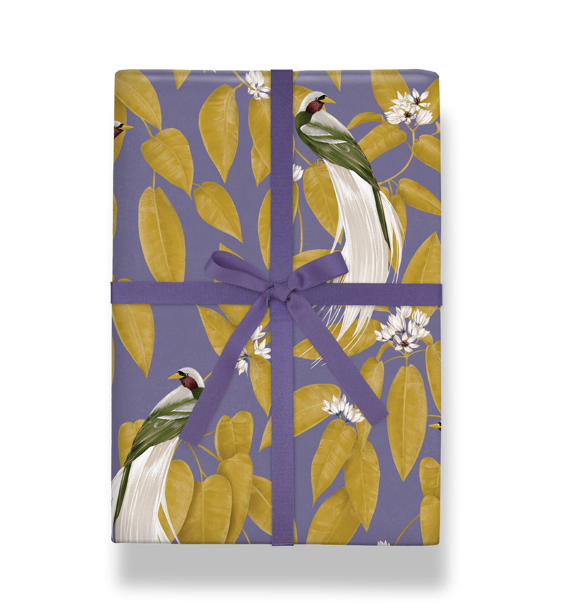 Birds of Paradise Gift Wrap – Lagom Design