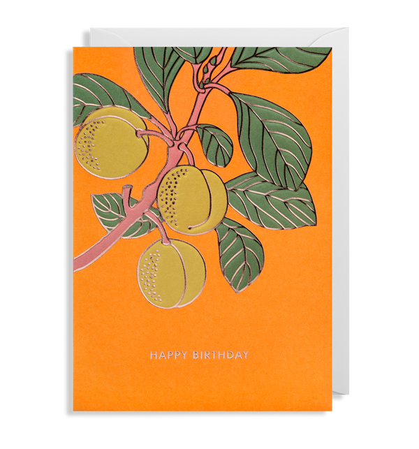 Beautiful Birthday Cards | Arty Birthday Cards – Lagom Design